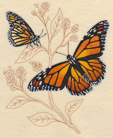 Monarch on Delicate Leaf