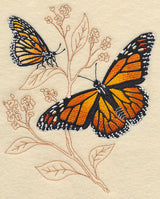 Monarch on Delicate Leaf