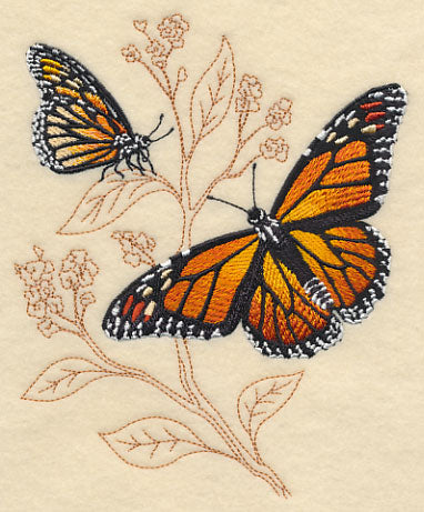 Monarch on Delicate Leaf