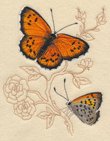 Lustrous Copper on Delicate Branches