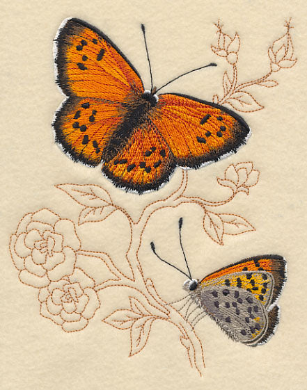 Lustrous Copper on Delicate Branches