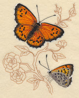 Lustrous Copper on Delicate Branches