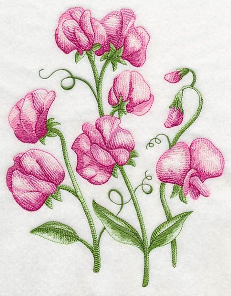 Pretty Little Sweet Peas 1
