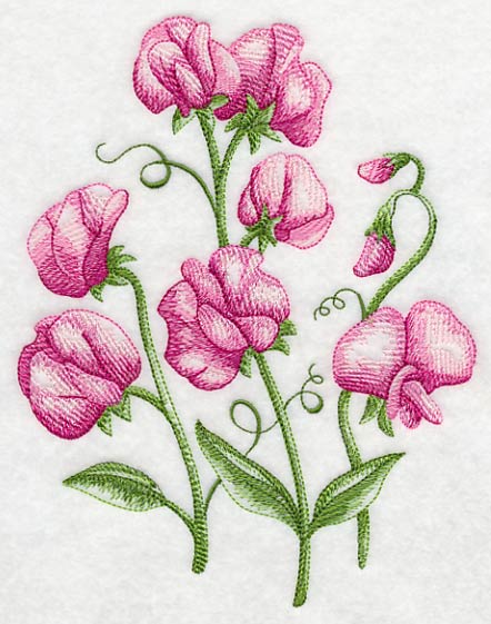 Pretty Little Sweet Peas 1