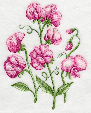 Pretty Little Sweet Peas 1