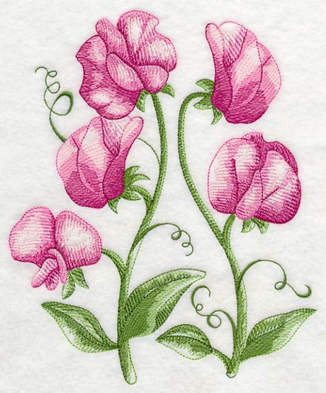 Pretty Little Sweet Peas 2