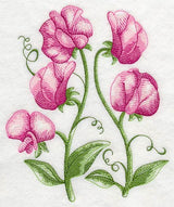 Pretty Little Sweet Peas 2