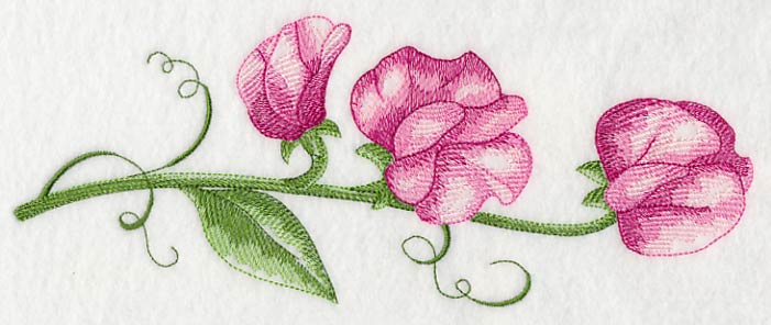 Pretty Little Sweet Pea Border