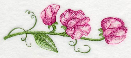 Pretty Little Sweet Pea Border