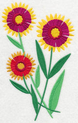 Flourishing Firewheels 2