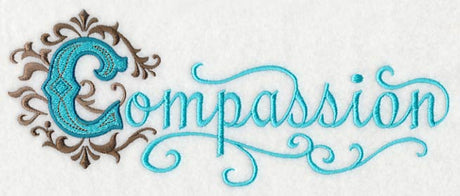 Illuminated Compassion