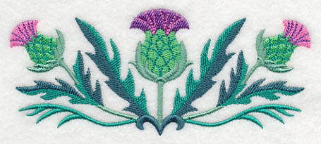 Celtic Thistle Border