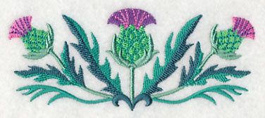 Celtic Thistle Border