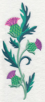 Celtic Thistle Spray