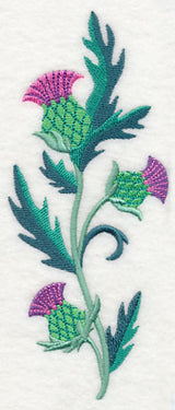 Celtic Thistle Spray