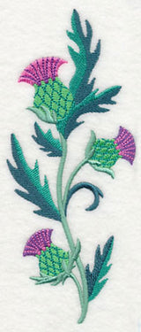 Celtic Thistle Spray