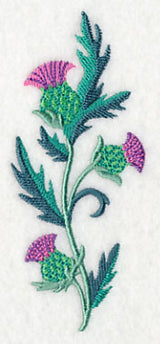 Celtic Thistle Spray
