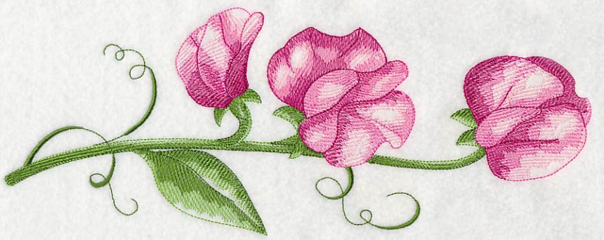 Pretty Little Sweet Pea Border