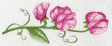 Pretty Little Sweet Pea Border