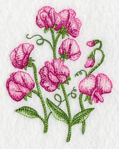 Pretty Little Sweet Peas 1