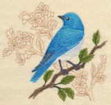 Mountain Bluebird with Delicate Branches