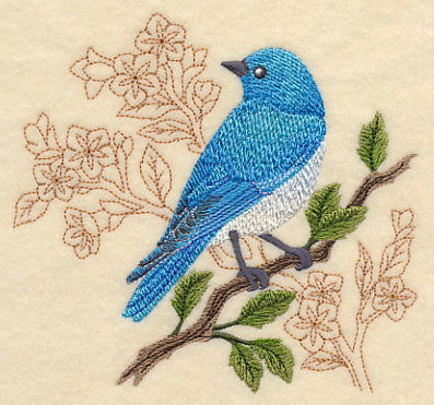 Mountain Bluebird with Delicate Branches