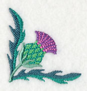 Celtic Thistle Corner 1