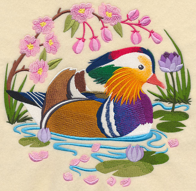 Mandarin Duck Scene