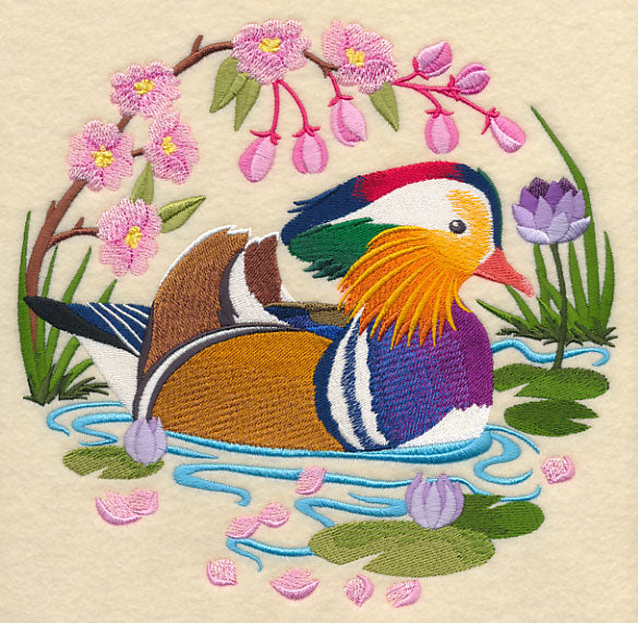 Mandarin Duck Scene