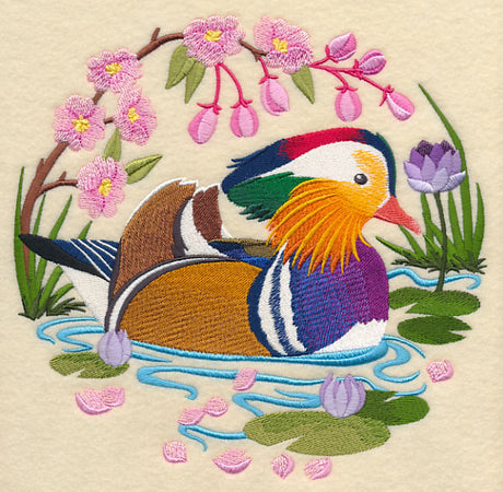 Mandarin Duck Scene