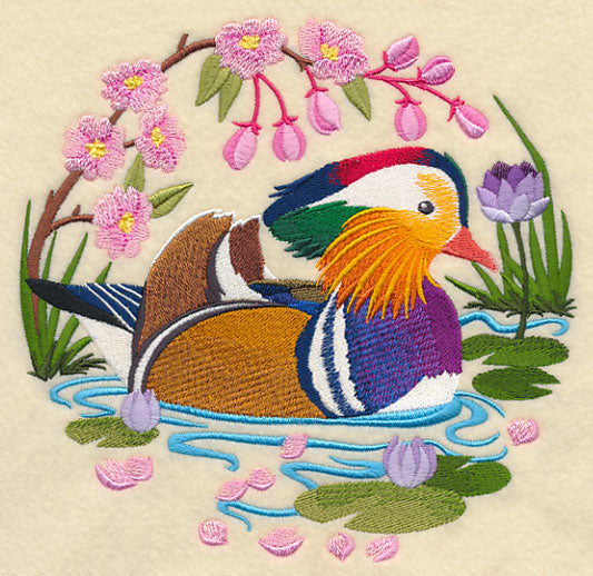 Mandarin Duck Scene
