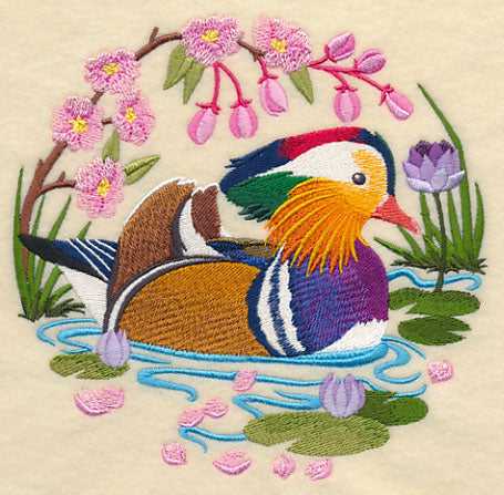 Mandarin Duck Scene