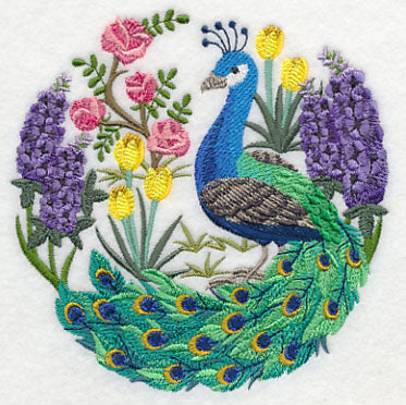 Peacock Scene