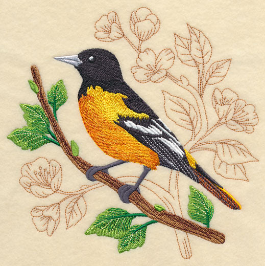 Oriole with Delicate Branches