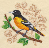 Oriole with Delicate Branches
