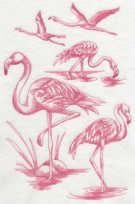 Flamingo Sketch
