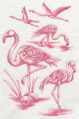 Flamingo Sketch