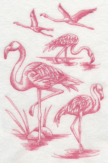 Flamingo Sketch