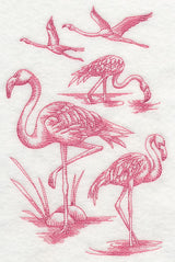 Flamingo Sketch