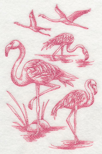 Flamingo Sketch