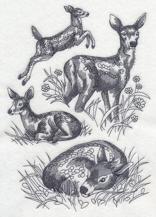 Spring Deer Sketch
