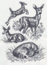 Spring Deer Sketch
