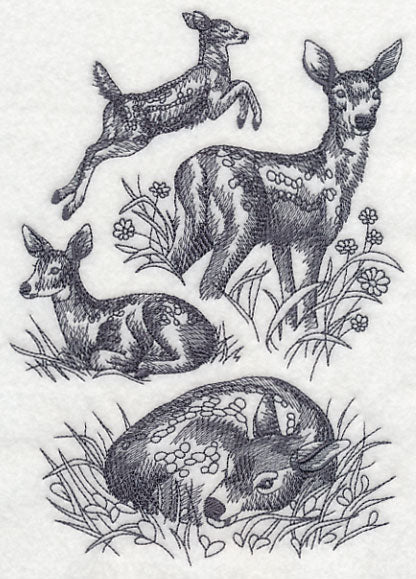 Spring Deer Sketch