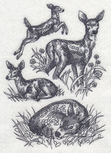 Spring Deer Sketch
