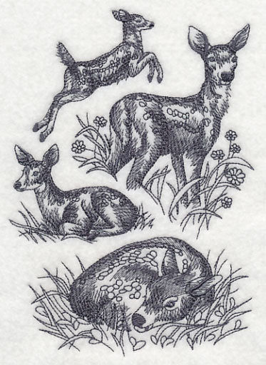 Spring Deer Sketch