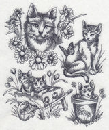 Sweet Kitten Collage