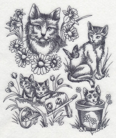 Sweet Kitten Collage