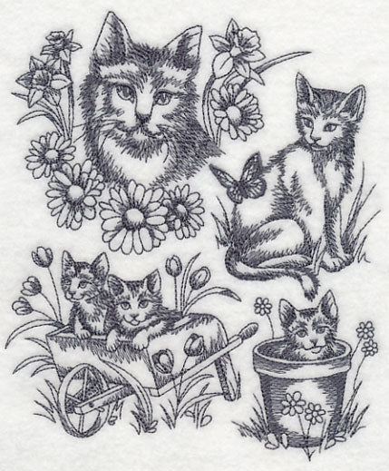 Sweet Kitten Collage