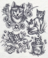 Sweet Kitten Collage