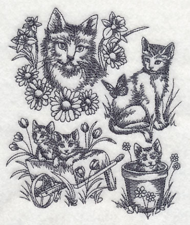 Sweet Kitten Collage